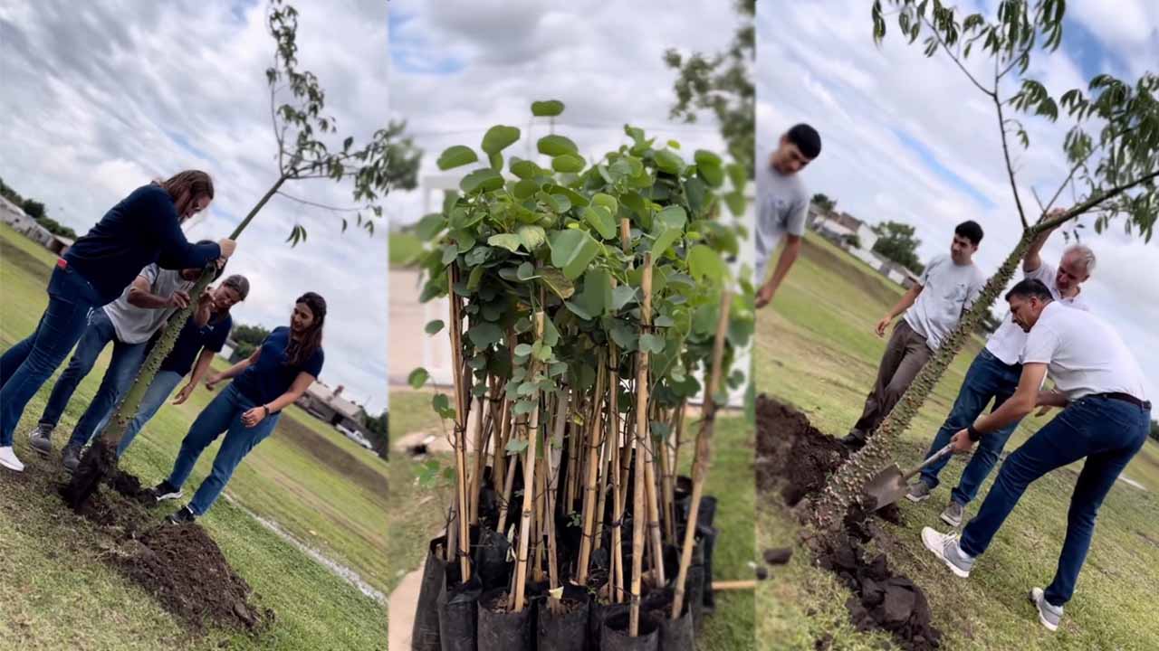 reforestacion urbana rafaela food solutions