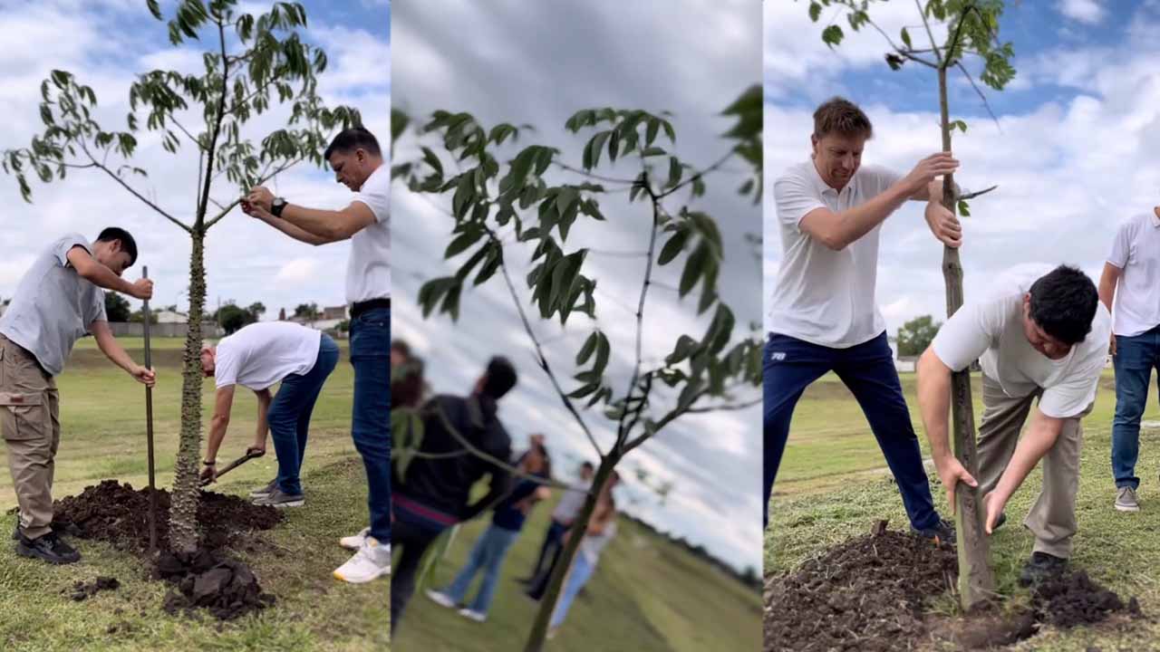 reforestacion urbana rafaela food solutions